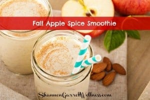 Fall Apple Spice Smoothie