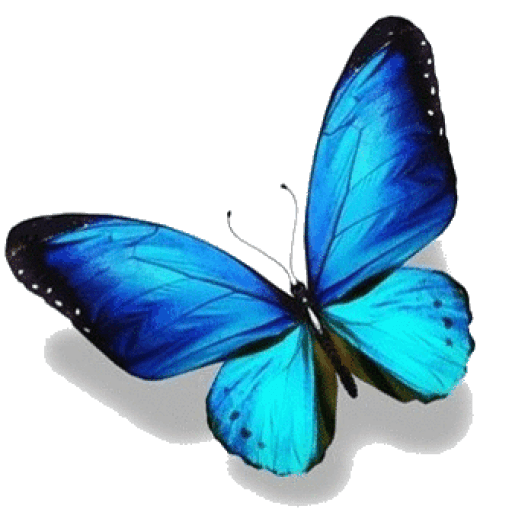 cropped-Butterfly-Transparent.png | Holistic Thyroid Care