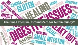The Small Intestine is Ground Zero for Autoimmunity by Marc Ryan, L.Ac.