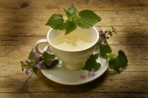Benefits of Nettle Tea