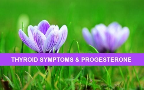 Thyroid Symptoms Low Progesterone