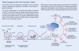 Food Sensitivity at Cellular Level