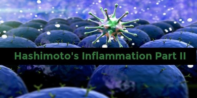 hashimoto's inflammation