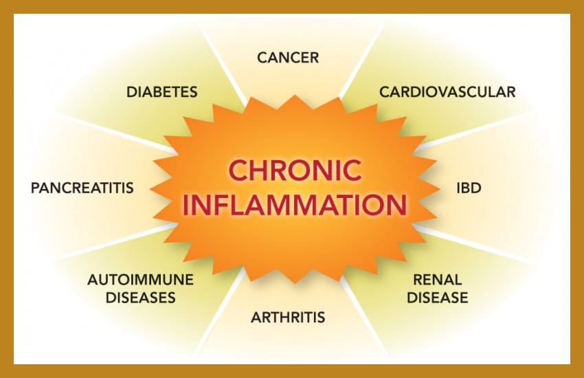 Hashi's Sisters Pillar #1 - Intro to Inflammation | Holistic Thyroid Care