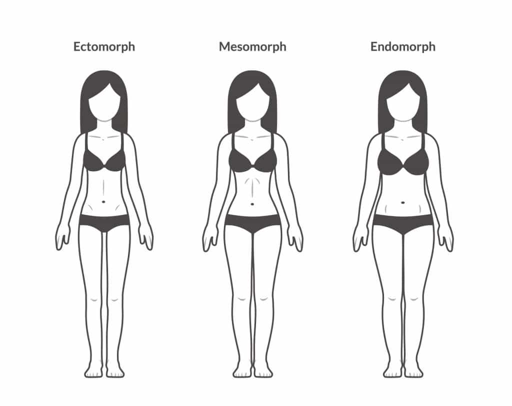 Hashimotos Diet and Body Type