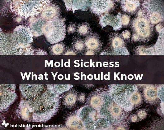 mold-sickness-guest-post-story-holisticthyroidcare