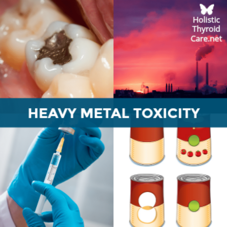 Heavy Metal Toxicity Weighing You Down? Hashimoto's & Hypothyroidism