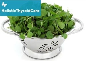 Watercress in a stainless steel colander