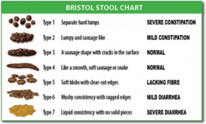 Bristol Stool Chart 
