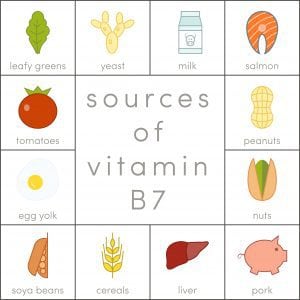 Biotin Graphic Food Sources of Vitamin B7