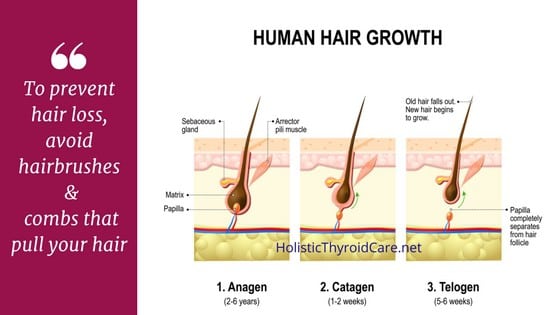 Hair loss and follicle growth illustration