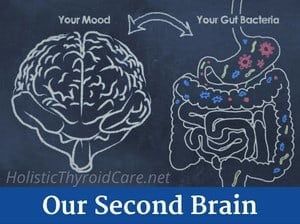 Gut Health Second Brain